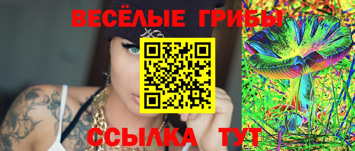 Псилоцибиновые грибы мухоморы Зерноград