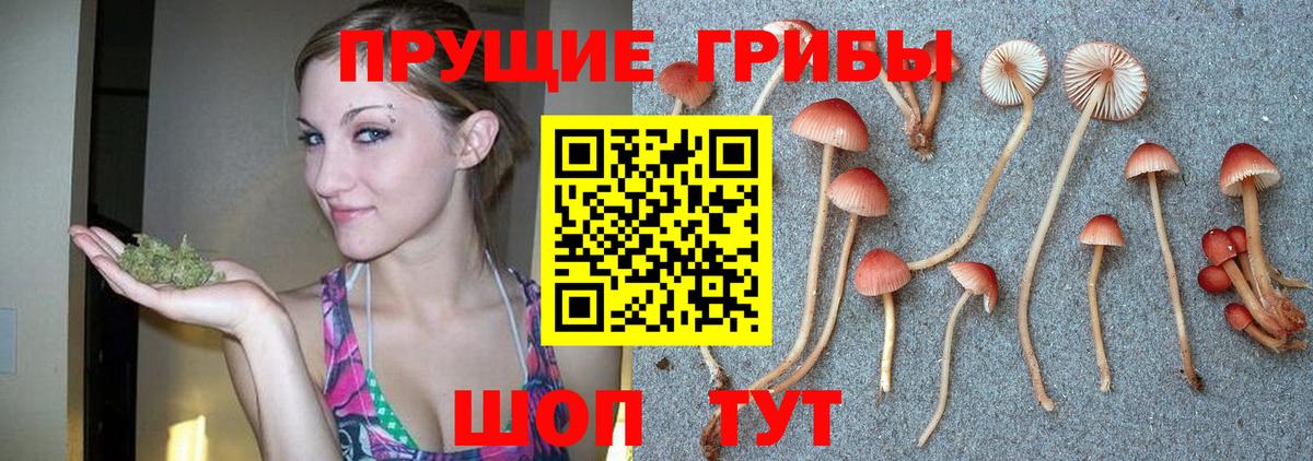 Зерноград  Галлюциногенные грибы MAGIC MUSHROOMS  Вход с VPN  Псилоцибиновые грибы MAGIC MUSHROOMS 
